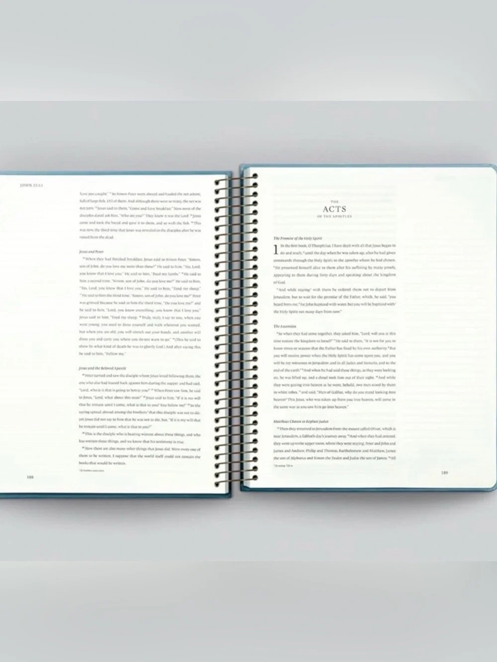 ESV Spiral-Bound Journaling Bible, New Testament (Hardcover): Holy Bible
